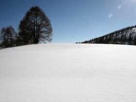 Poggio_del_Lagone