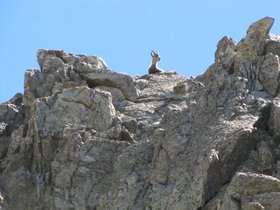 Chemineye_Lusiere
