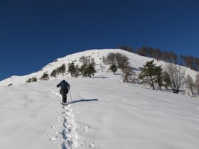La_Piastra